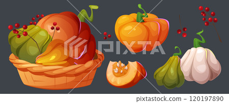 Autumn pumpkin harvest in whicker basket. Autumn pumpkin harvest in whicker basket. 120197890