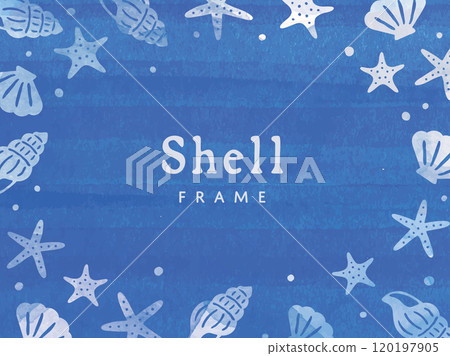 酷藍色貝殼框架 120197905