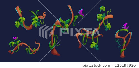 Jungle liana branch with leaves and flowers. 120197920