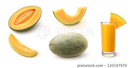 3d realistic sweet cantaloupe melon fruit vector 3d realistic sweet cantaloupe melon fruit vector 120197970