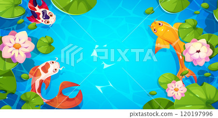 Koi fish with lotus leaves, flowers swim in water Koi fish with lotus leaves, flowers swim in water 120197996