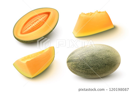 Ripe juicy sweet melon fruit 3d 120198087