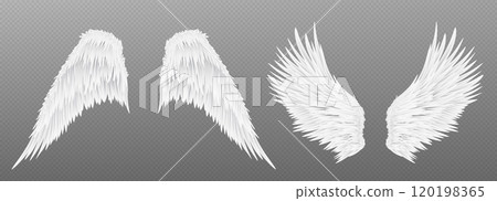 3d white realistic angel wing isolated vector 120198365
