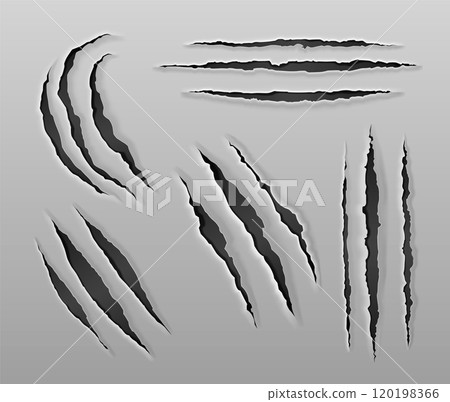 Tiger claw scratch on paper vector. Bear paw mark 120198366