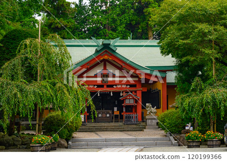 Scenery of Gotemba Shinbashi Sengen Shrine Scenery of Gotemba Shinbashi Sengen Shrine 120199366