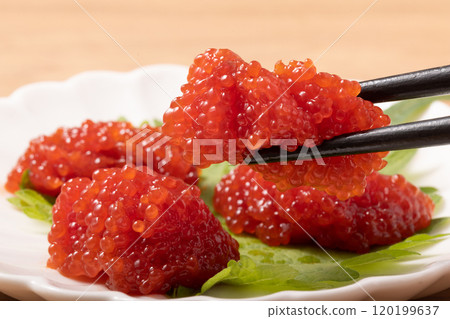 Coho salmon roe (ginko) 120199637