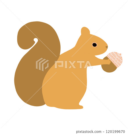 松鼠拿著橡子的插圖 120199670