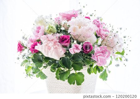 插花 插花 120200120