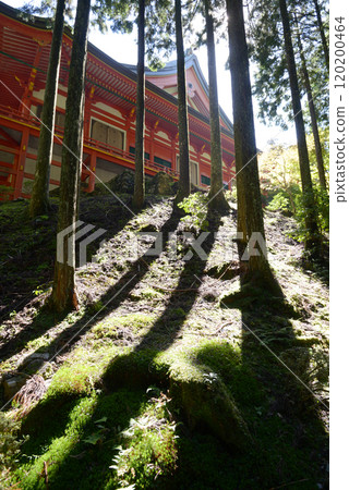 Hieizan Enryakuji Temple Yokogawa Nakado Sakamoto, Otsu City, Shiga Prefecture 120200464