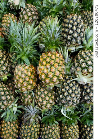 Taiwan pineapple Taiwan pineapple 120200475