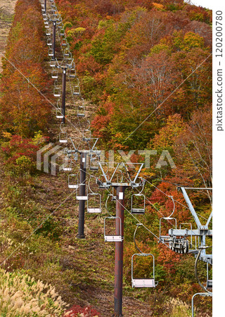 Autumn leaves of Hakuba in Happo-one Autumn leaves of Hakuba in Happo-one 120200780