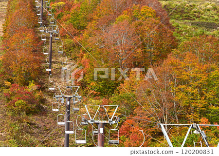 Autumn leaves of Hakuba in Happo-one Autumn leaves of Hakuba in Happo-one 120200831