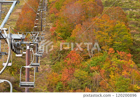 Autumn leaves of Hakuba in Happo-one 120200896