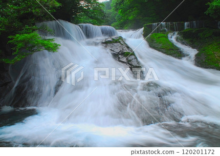 Fresh green 430,000 Waterfalls (Kikuchi Valley/Kikuchi City) Fresh green 430,000 Waterfalls (Kikuchi Valley/Kikuchi City) 120201172