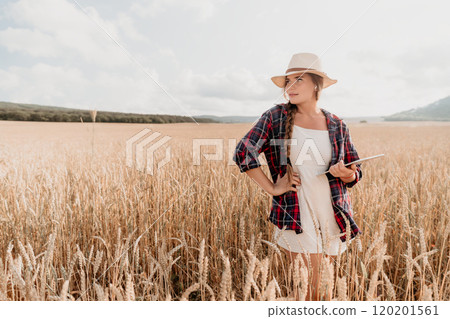 Woman in a Wheat Field Using a Tablet 120201561