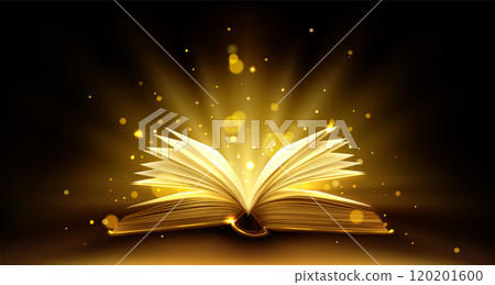 Open book with shining pages on black Open book with shining pages on black 120201600