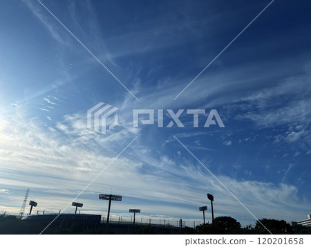 Baseball, softball / stadium lighting Baseball, softball / stadium lighting 120201658