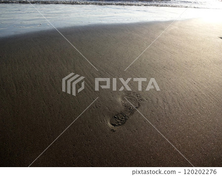 沙灘的腳印 120202276