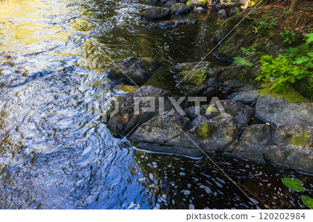 Dark stones are at the river coast in the forest on a summer day Dark stones are at the river coast in the forest on a summer day 120202984