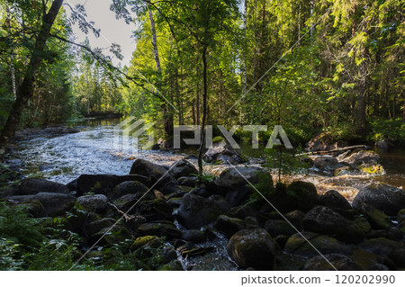 Wild Karelian landscape with a rocky river coast in the forest Wild Karelian landscape with a rocky river coast in the forest 120202990