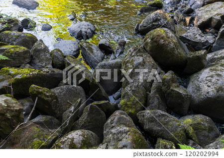 Karelian landscape photography with dark stones at the river coast Karelian landscape photography with dark stones at the river coast 120202994