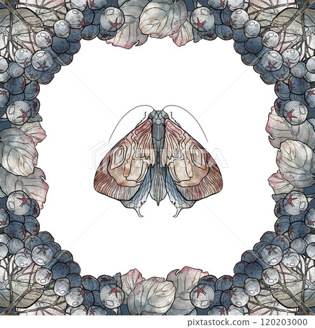 Watercolor drawing with a butterfly in the center 120203000