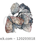 The composition is in the form of a butterfly 120203018