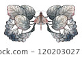 A composition of a watercolor drawing, butterflies 120203027