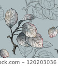 Drawing in the form of a pattern of plant leaves. 120203036