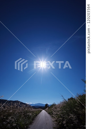信州開田高原西野 - 秋天的天空閃耀著銀色光芒的蒲葦小路 信州開田高原西野 - 秋天的天空閃耀著銀色光芒的蒲葦小路 120203564