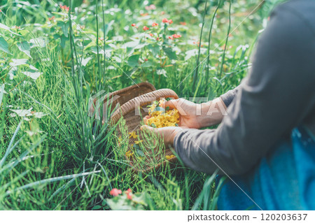 Flower picking activity 120203637