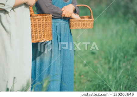 Petals Petals 120203649