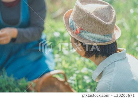 Nature play: Flower picking activity 120203671