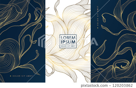 Vector set of leaf abstract pattern, floral line golden labels, posters, elegant luxury plant cards. Herbal illustrations, package. Vector set of leaf abstract pattern, floral line golden labels, posters, elegant luxury plant cards. Herbal illustrations, package. 120203862