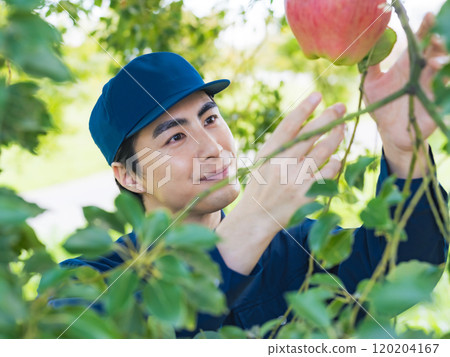 管理果園的男性農民 120204167