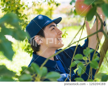 管理果園的男性農民 120204169