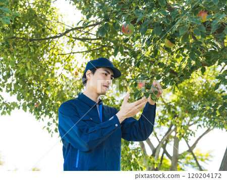 管理果園的男性農民 120204172