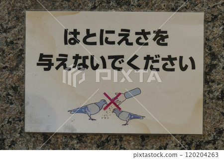 海報呼籲人們不要餵鴿子 120204263