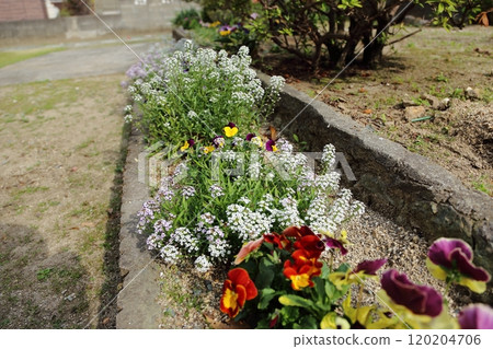 園藝花園花卉香薰, 園藝花園花卉香薰, 120204706