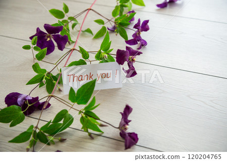 branch of blooming purple clematis, on a light wooden table branch of blooming purple clematis, on a light wooden table 120204765
