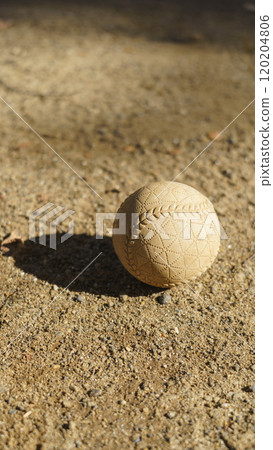 Softball baseball Softball baseball 120204806