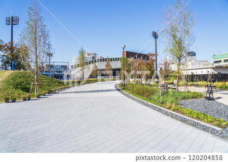 川崎市景富士見公園風景[神奈川縣/川崎市] 120204858