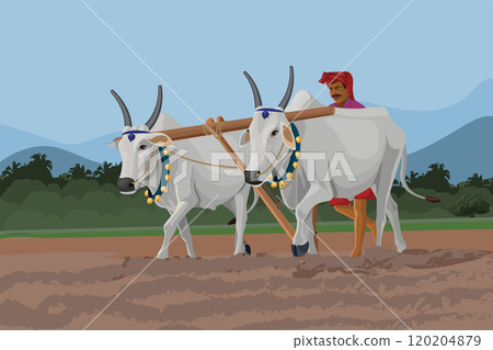 Indian farmer traditional agriculture for your design Indian farmer traditional agriculture for your design 120204879