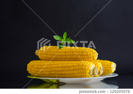 boiled sweet delicious corn in a plate boiled sweet delicious corn in a plate 120205078