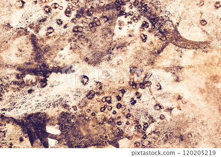 Abstract grunge texture with rustic patterns and organic spots for background 120205219