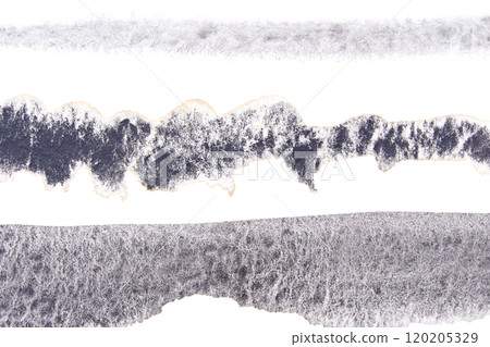Abstract black and white torn paper texture with rough edges and organic pattern Abstract black and white torn paper texture with rough edges and organic pattern 120205329