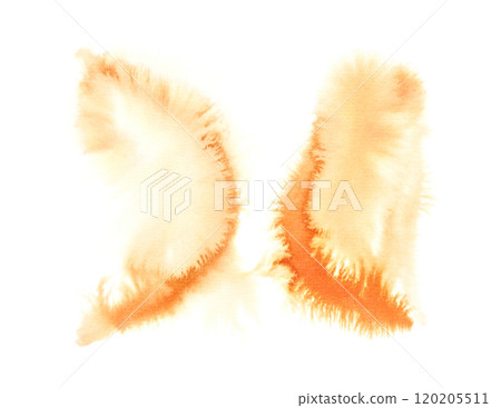 Abstract orange watercolor splashes with soft textured edges on white background Abstract orange watercolor splashes with soft textured edges on white background 120205511