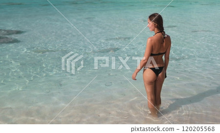 Young woman is enjoying a sunny day at the beach, wading in crystal-clear turquoise water with small sharks swimming nearby 120205568