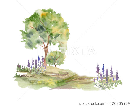 Scenery landscape of lush green foliage tree, northern forest meadow grassland with bushes lupin flowers, watercolor hand drawn. Illustration for tourism, resort ads, hiking camping sites, vacation. Scenery landscape of lush green foliage tree, northern forest meadow grassland with bushes lupin flowers, watercolor hand drawn. Illustration for tourism, resort ads, hiking camping sites, vacation. 120205599