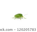 Bug 120205783